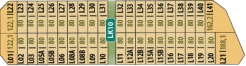 Vị trí 5
